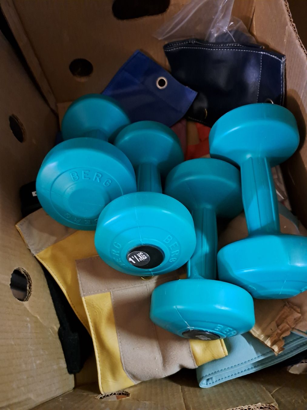 Hanteln & Gewichte: 4xBERG Hanteln  1.5kg grün – Gebraucht aus Grossdietwil von hufi10