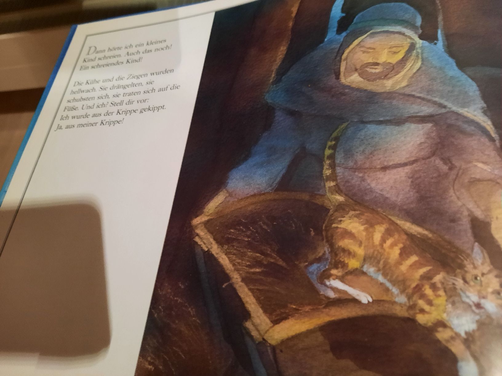 Bücher: Bilderbuch "Das Kätzchen in der Weihnachtskrippe" – Gebraucht aus Vaduz von DIESEL_60 4