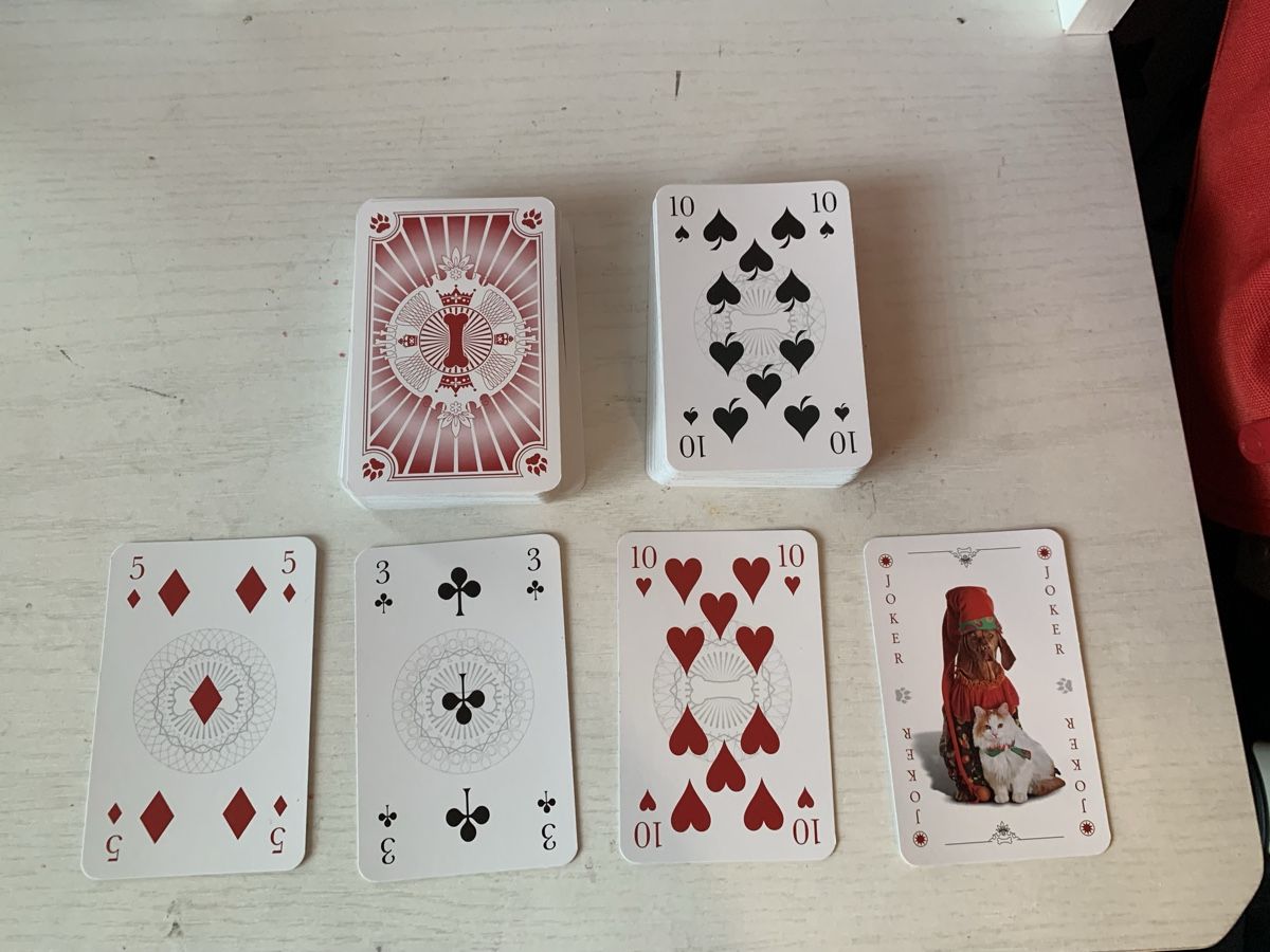 Giochi: Jasskarten Hunde – Nuovo e nell'imballaggio originale da Oberentfelden venduto da chelsea25 2