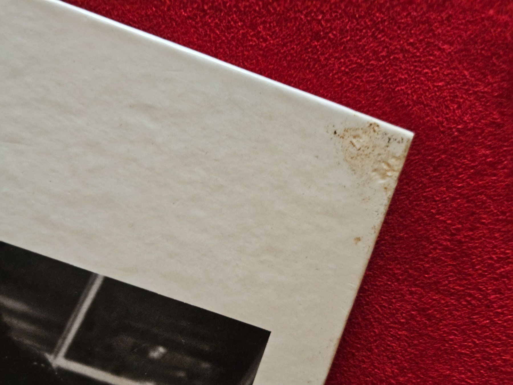 Bücher: Das Storchenjahr – Gebraucht aus Staffelbach von Frisco77 3