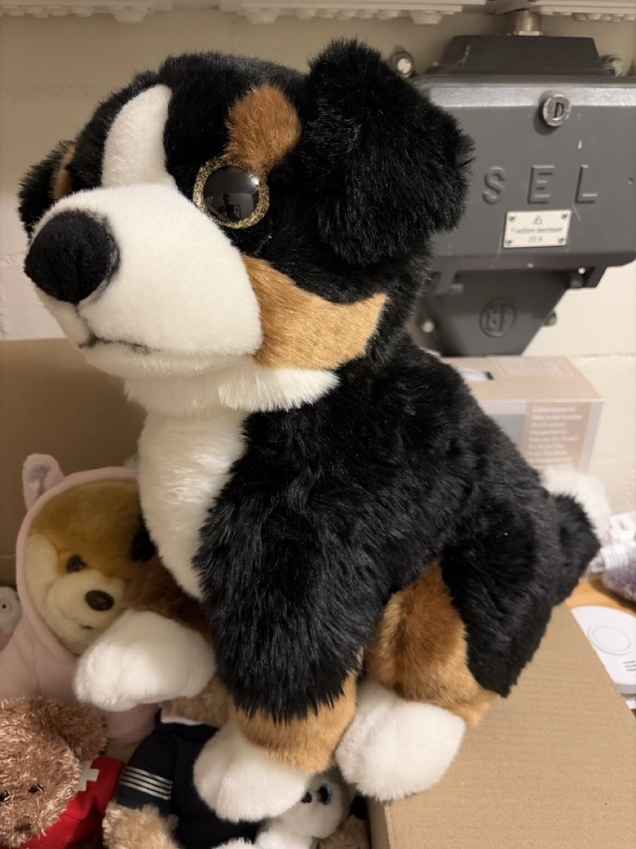 Giocattoli: Lot de peluches  – Usato da le mont sur lausanne venduto da Alecour 3