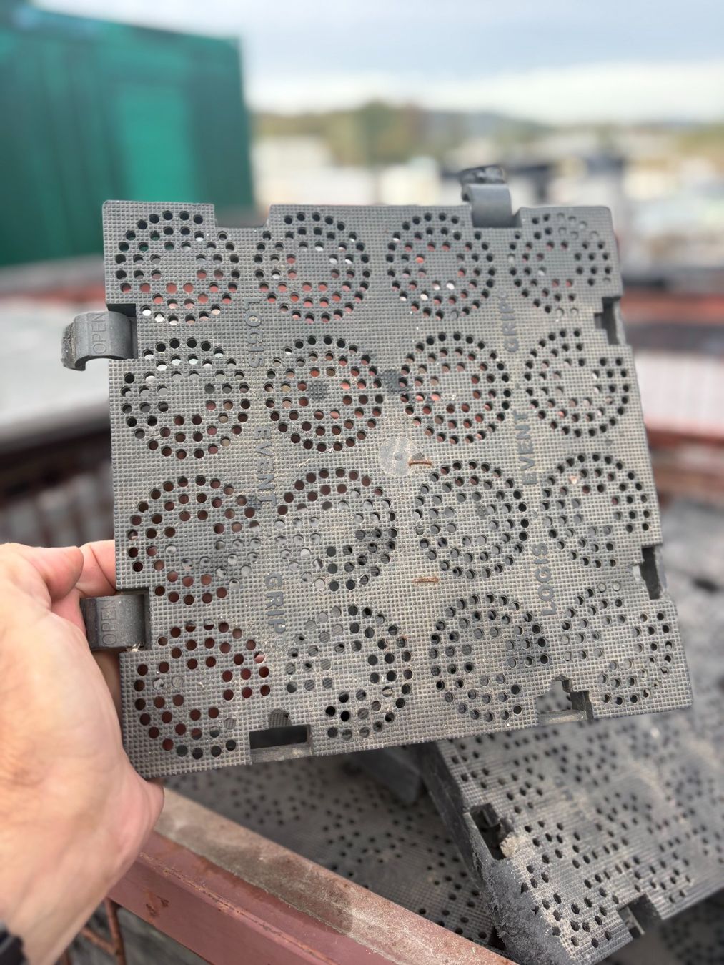 Servierplatten: Schiftholz Schiftplättchen Schiftplatten – Gebraucht aus Zürich von adolfkuhnag