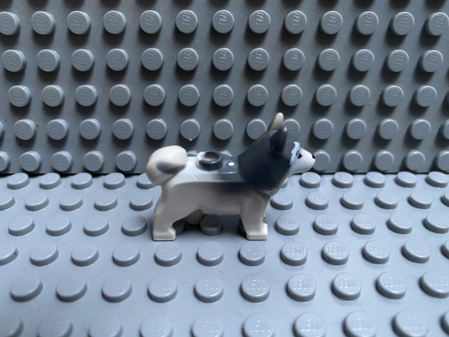 Lego Kit di costruzioni: Lego Tiere - Hund Husky – Usato da Horw venduto da G39517sG