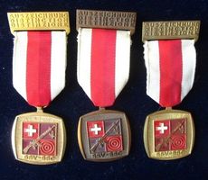 3 X Auszeichnungen SSV - SSC - TOP