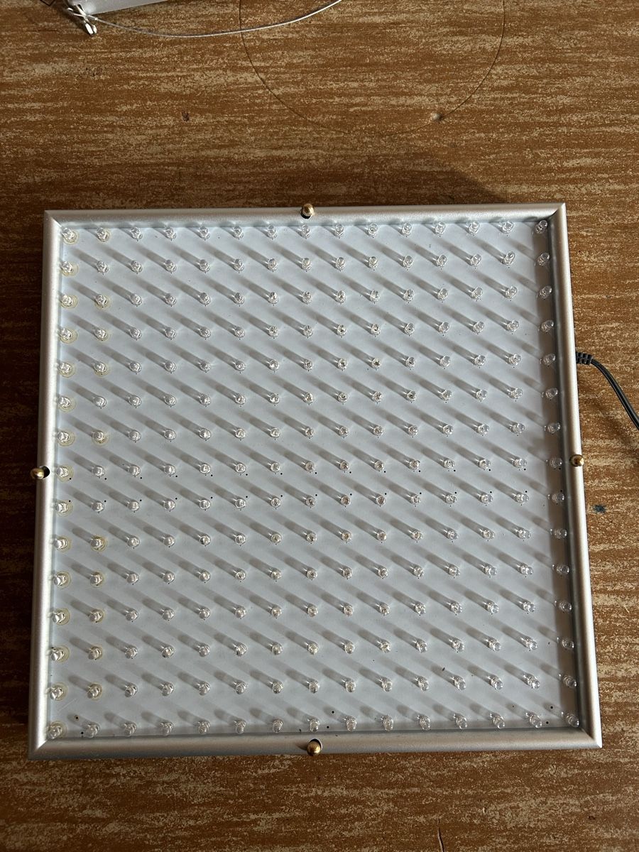 Lampade: LED Planzenlicht – Usato da Thun venduto da stu_jrr6