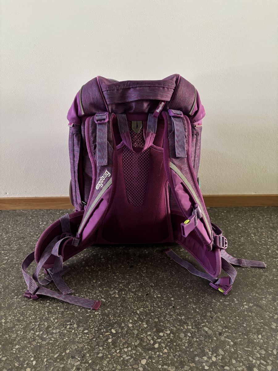 Ergobag Borse & Zaini: Ergobag Schulrucksack – Usato da Chur venduto da vespa-66 2