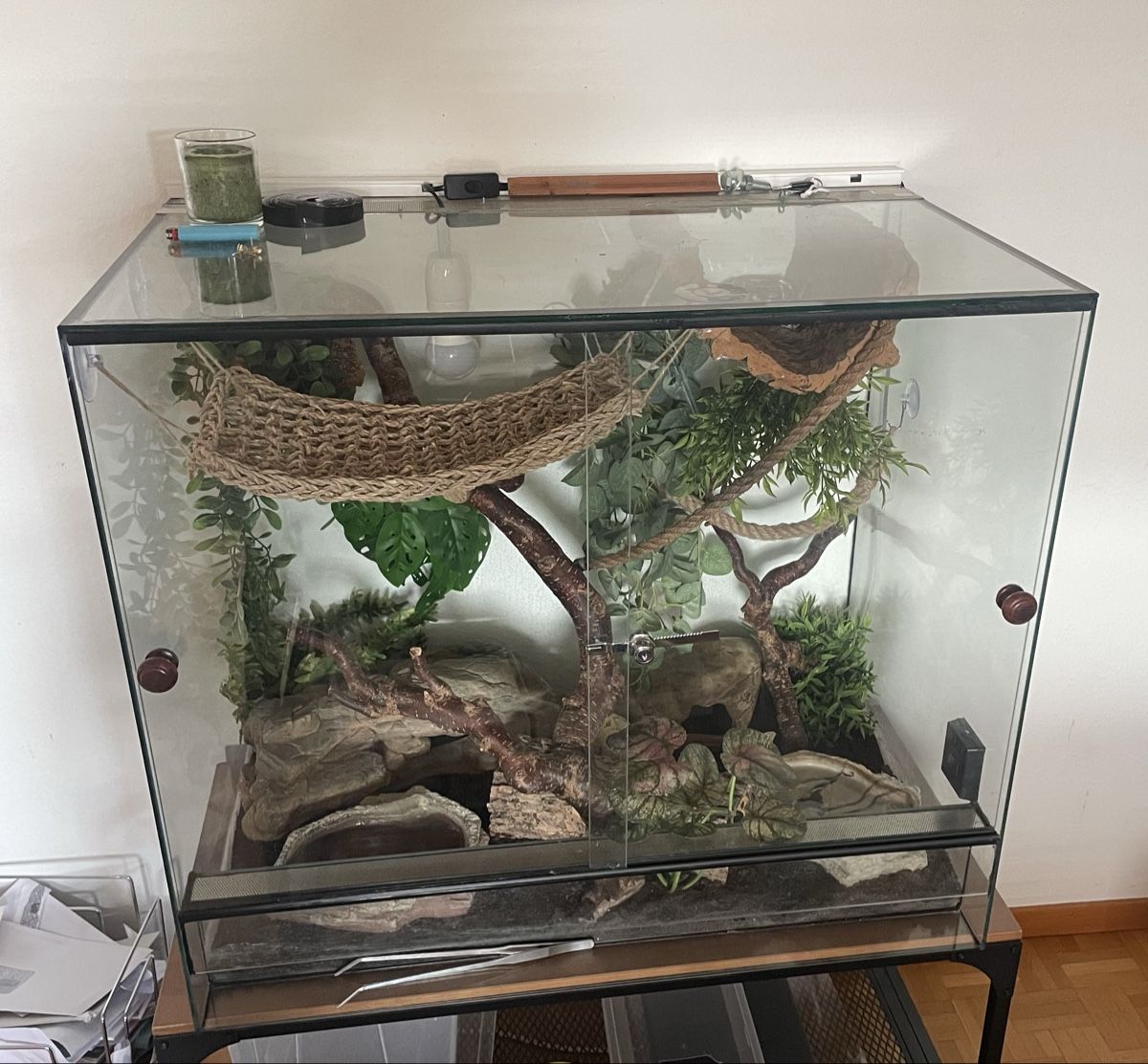 Terrario: Terrarium – Usato da Bülach venduto da dar_5xys 1