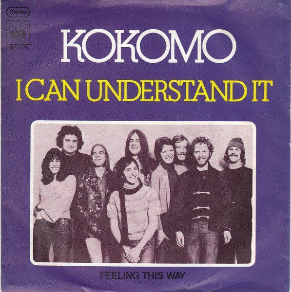 Dischi in vinile: Kokomo: I Can Understand It / Feeling This Way 7" – Usato da Steinhausen venduto da Vilivinili
