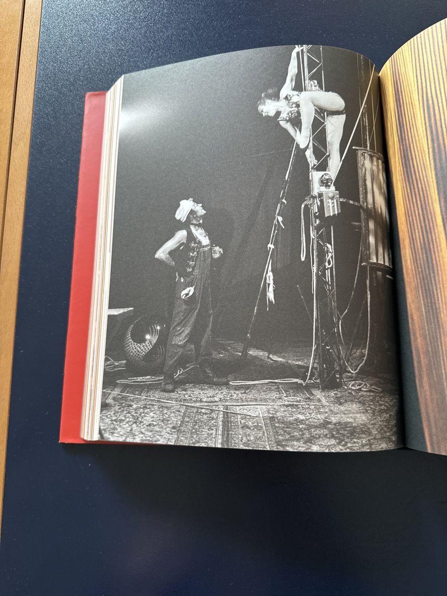Libri: Livre "JOURS DE CIRQUE" Etat Neuf – Nuovo e nell'imballaggio originale da moudon venduto da jaunejaunelapinjaune 1