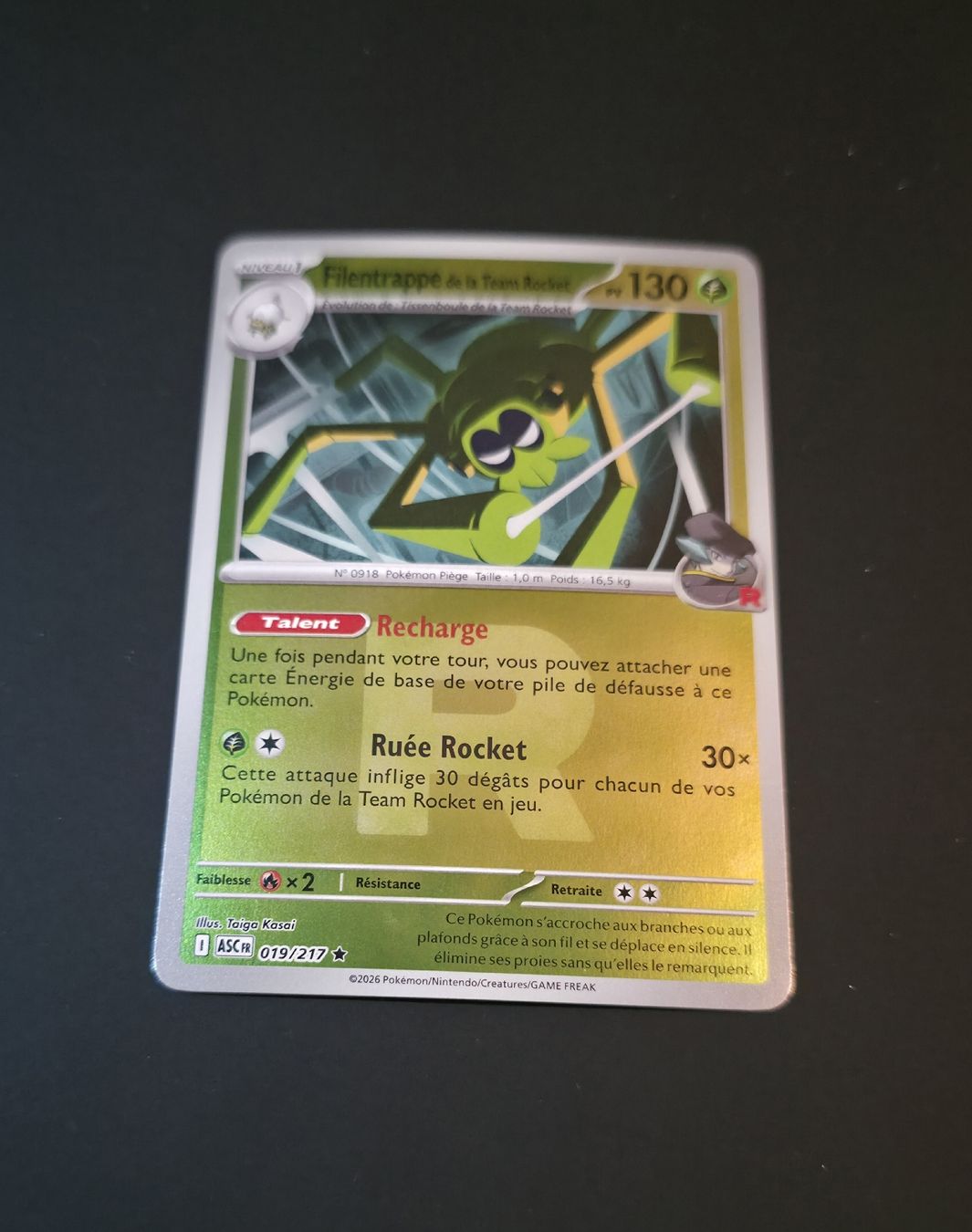 Pokémon Carte collezionabili: Asc 019 Reverse Rocket – Nuovo (secondo la descrizione) da Le Lignon venduto da Nathium