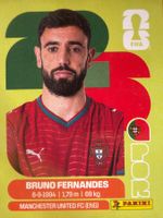 Panini POR10