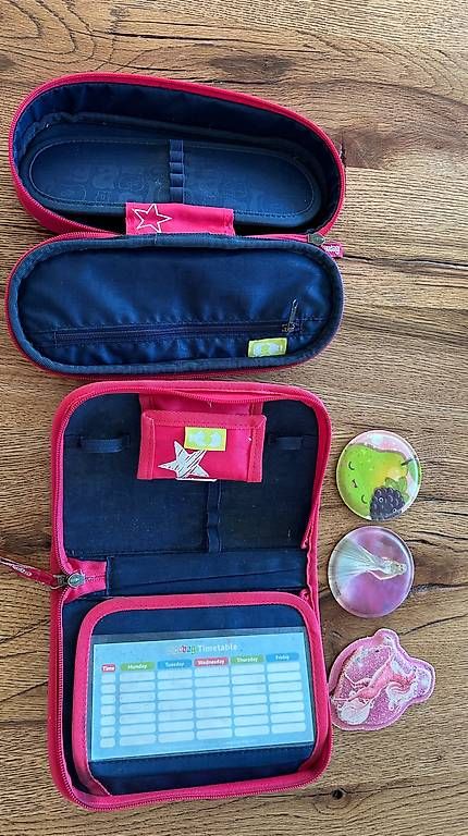Borse & Zaini: Ergobag Schulthek mit Etui, Turnsack, Schlamperbeutel – Usato da Egnach venduto da DeliaX 1