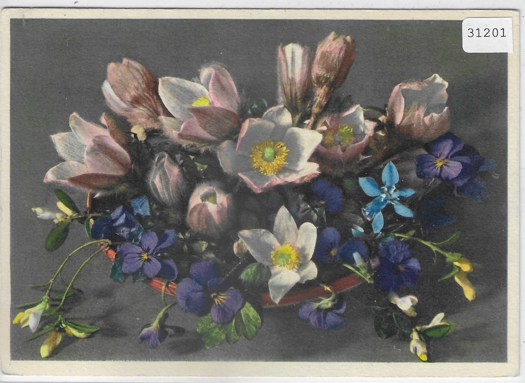 Cartoline postali: Anemone vernalis - Bergblumen - Litho – Usato da Ettingen venduto da Kartenplanet