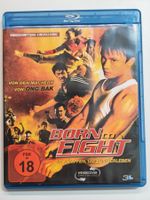Born to Fight