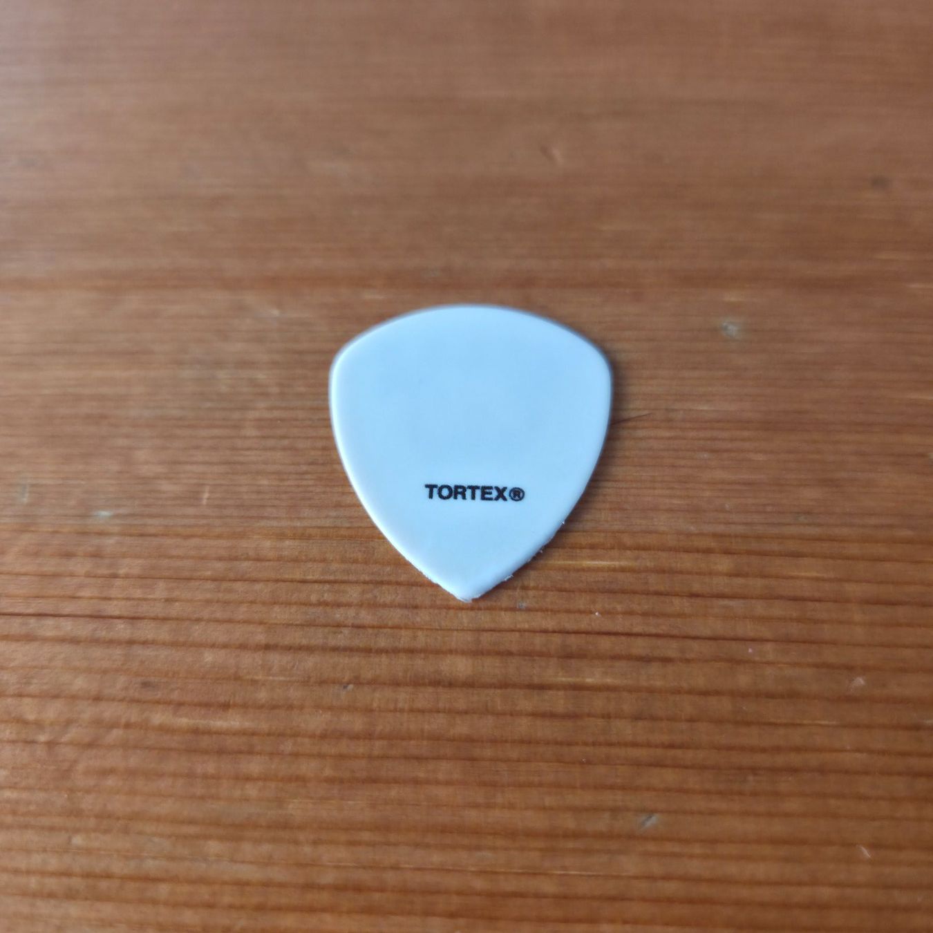 Strumenti musicali: Turnstile Lost Plektrum Pick – Usato da Zürich venduto da Wickeddude 4