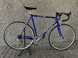 Giant Peloton Rennvelo