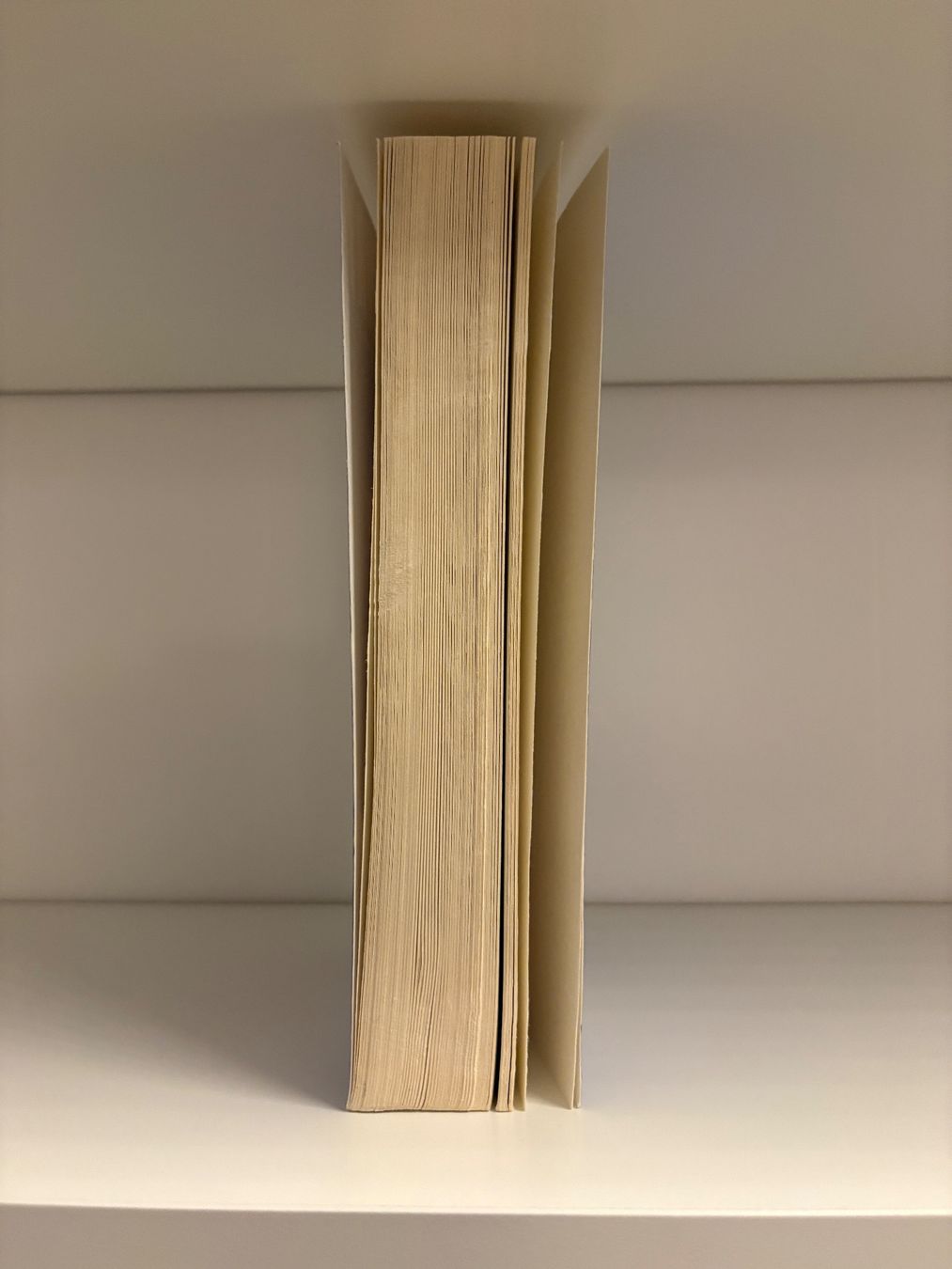 Libri: Funny Story - Emily Henry – Usato da Steffisburg venduto da elsa.catalina 3