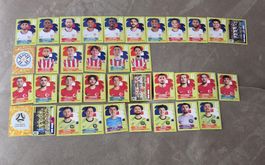 PANINI WM 26 GRUPPE D
