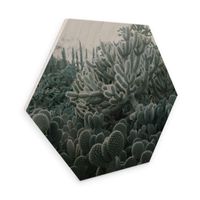 Hexagon Holz Kakteen 75x65cm (neu, UVP 114.00 Fr.)