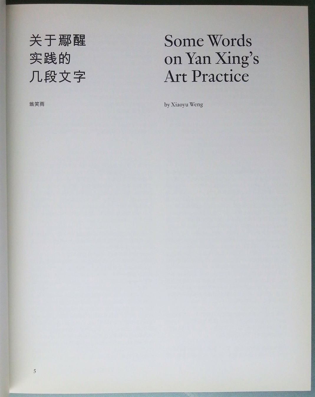Libri: Yan Xing - Recent Works, signiert – Usato da Oberriet SG venduto da ganesh435 3