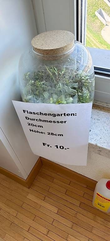 Altro in Stoviglie & Bicchieri: Flaschengarten – Usato da St.Gallen venduto da Didi1969