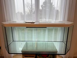 Grosses 500 Liter Glas-Terrarium mit abgeschrägten 45°-Ecken