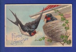 OISEAU - Hirondelles
