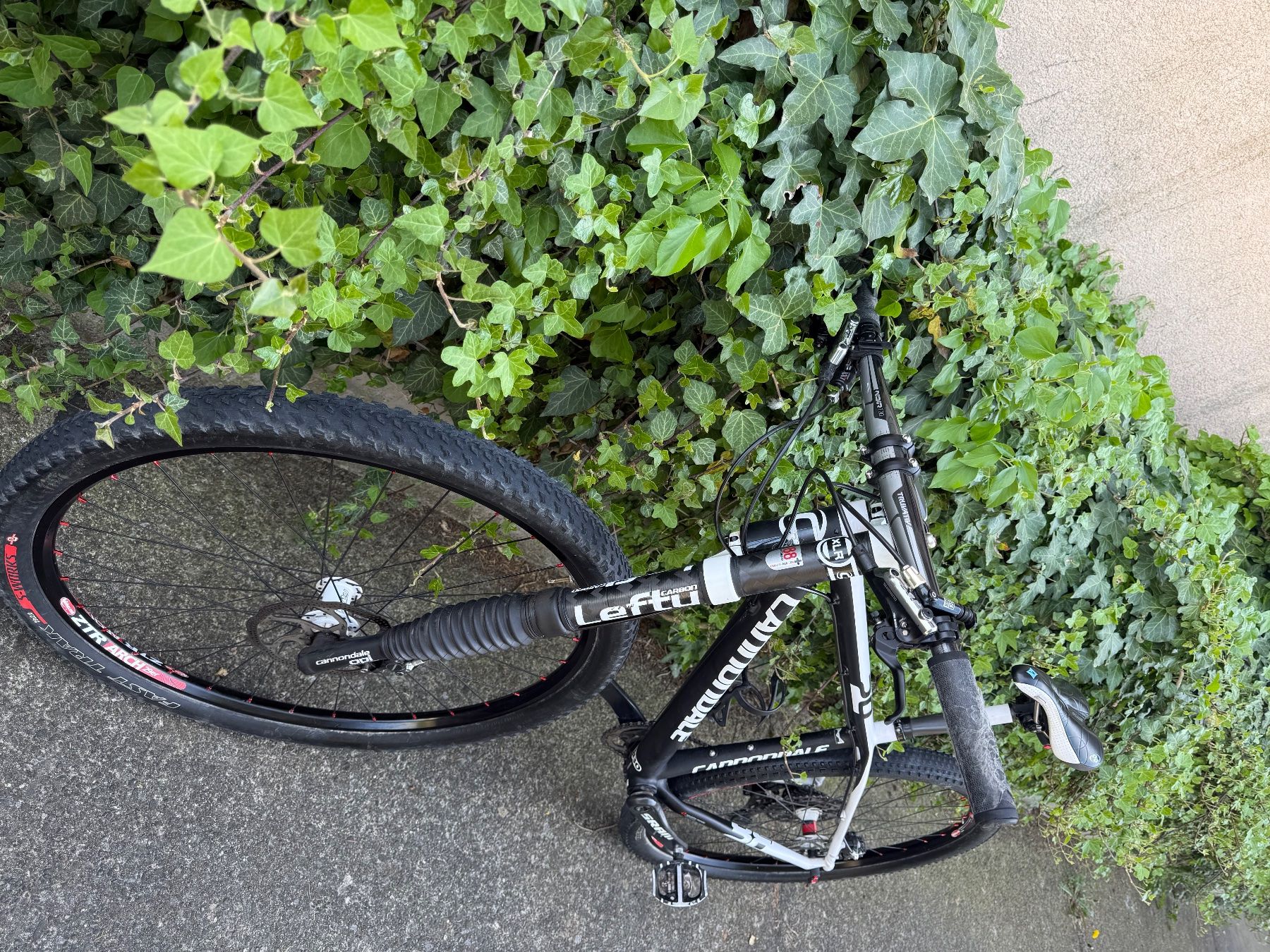 Cannondale Biciclette: Cannondale Flash 29er, Top Zustand! – Usato da Lenzburg venduto da aime2010 5