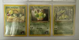 Pokemon Erika's Bellsprout Weepinbell Victreebel cards