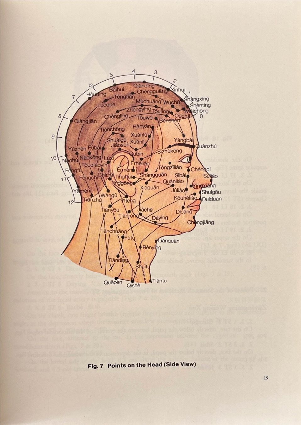 Libri: The Location of Acupoints – Nuovo (secondo la descrizione) da Sarnen venduto da Livres 6