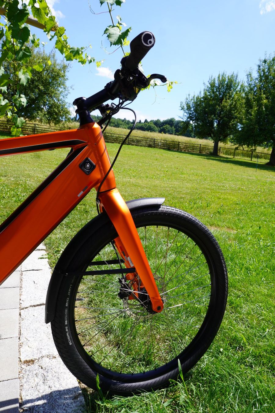 Velos: STROMER ST 1x – Gebraucht aus Messen von Wood-Shop 2