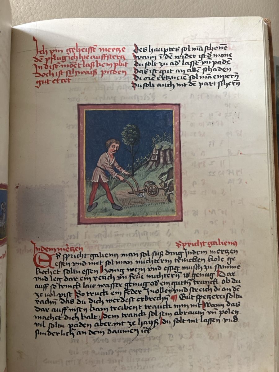Libri: Antikes Buch "Vom Einfluss der Gestirne – Usato da Uster venduto da naderkhan 3