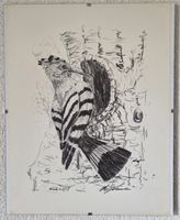 H.Zbinden Zeichnung (Reproduktion), Bild "Widehopf"