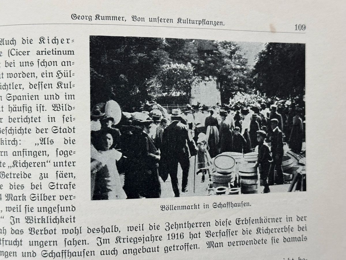 Bücher: Schaffhauser Jahrbuch. Band 1. 1926. – Gebraucht aus Adliswil von buch_und_kunst 5