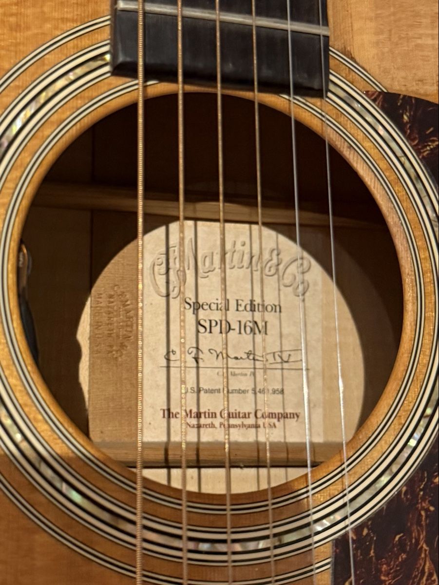 Martin & Co. Strumenti musicali: Martin SPD-16M Special Edition – Usato da Oetwil am See venduto da Davek 5