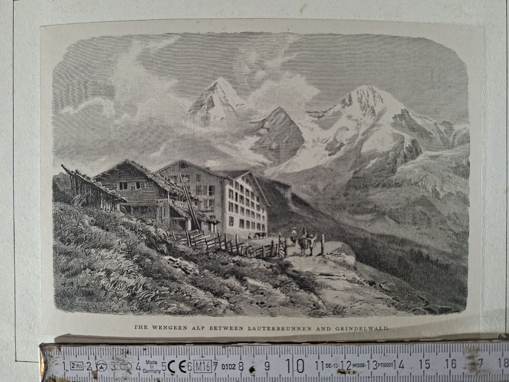Incisioni: Lot 67 , 10 Stiche  – Usato da Grindelwald venduto da carro5