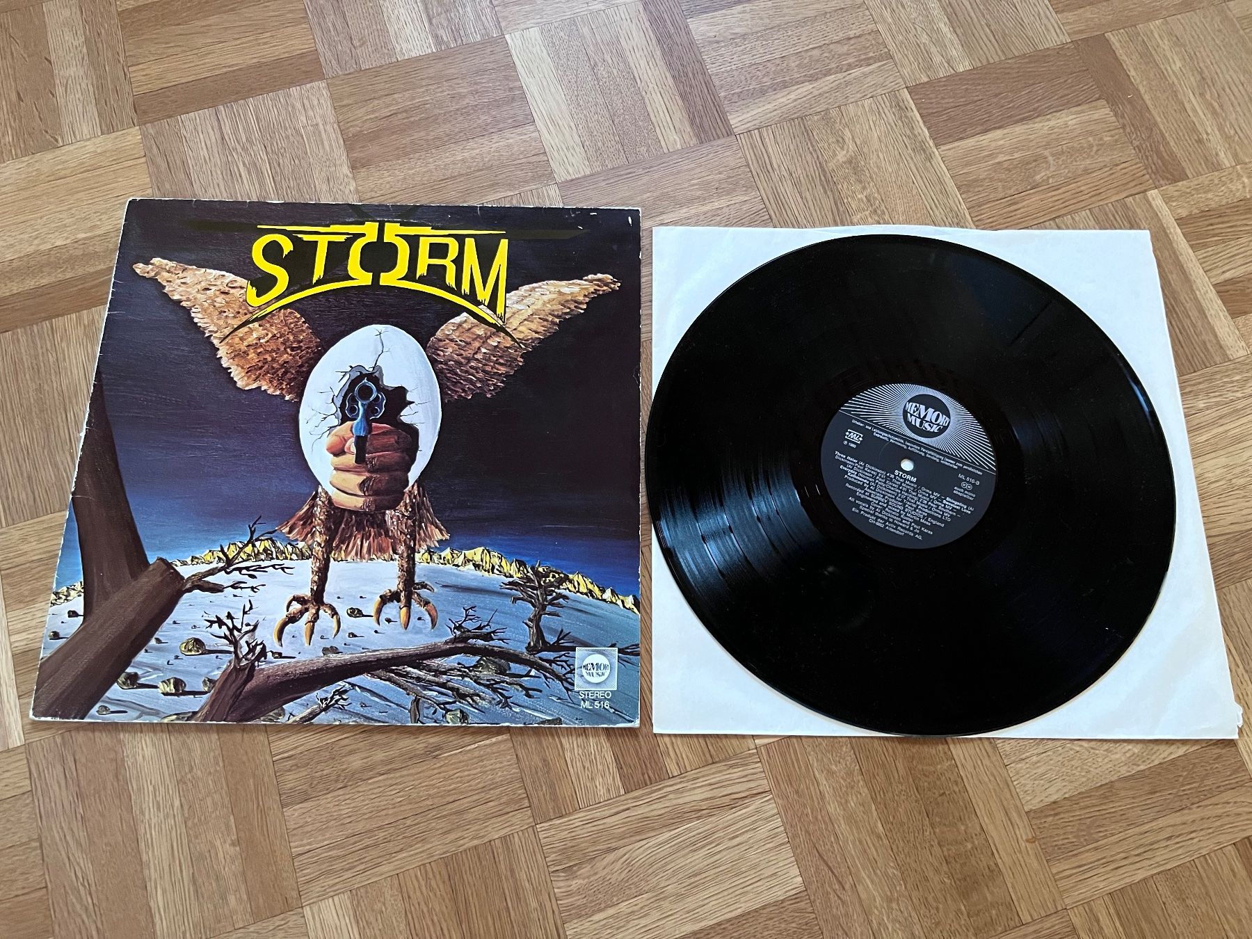 Vinyles: Storm – D'occasion à Giebenach par Wurlitzer70