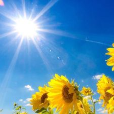 Profile image of sunandwind