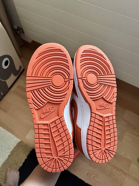 Nike Herrenschuhe: Nike Dunk Low Retro Syracuse' NEU – Neu und originalverpackt aus Goldach von tab_njk8 4