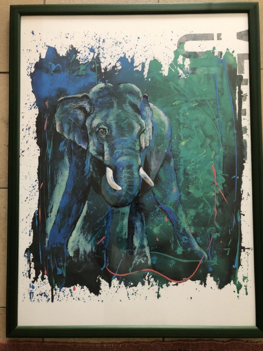 Poster & Bilder: Bild mit Elefant – Gebraucht aus Gränichen von SabineZ01 1