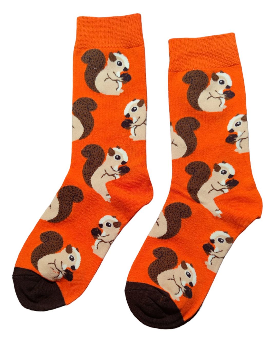 Calze: Socken Eichhörnchen / Squirrel – Nuovo e nell'imballaggio originale da Zürich venduto da amysmith 1
