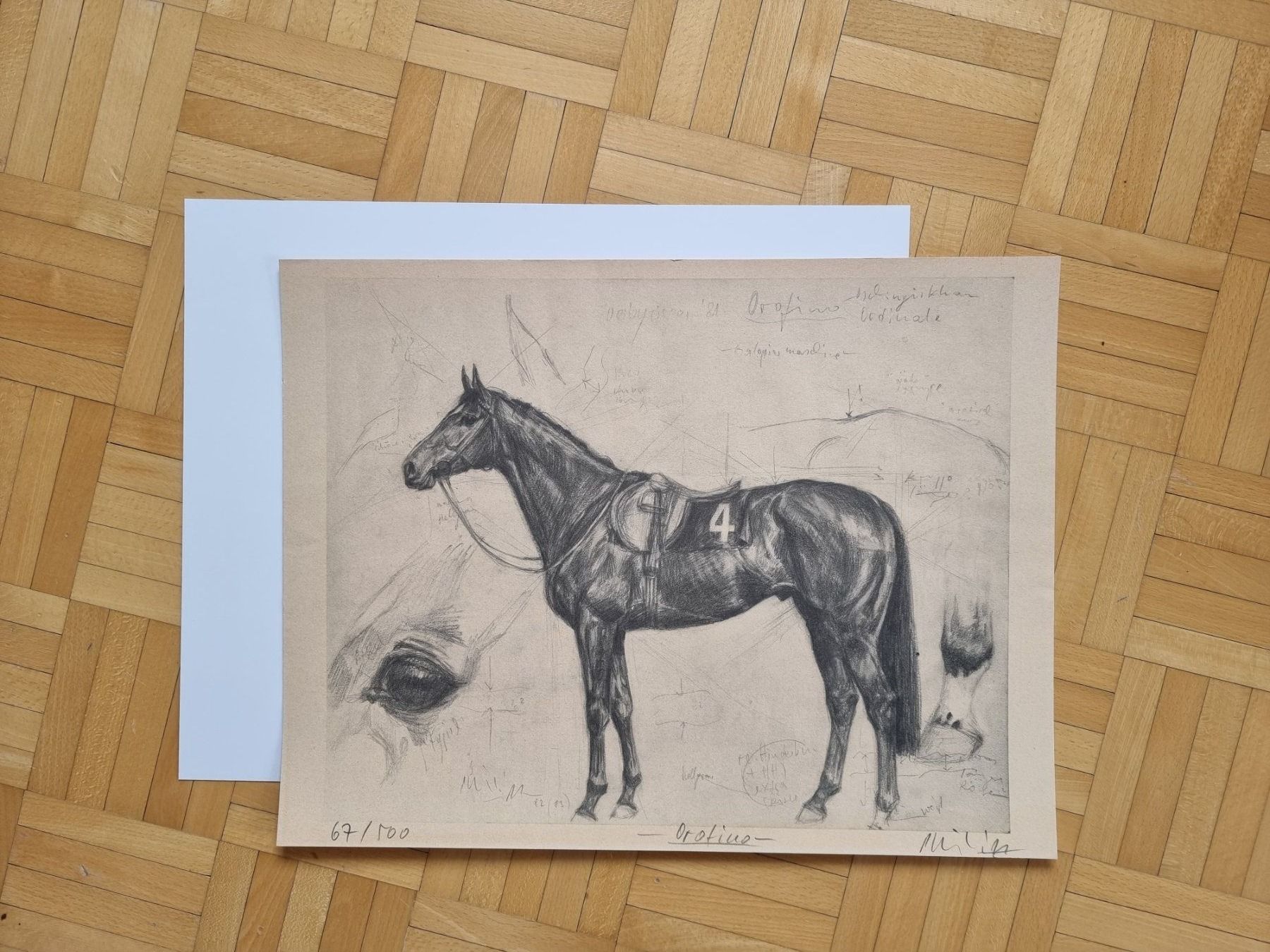 Grafica & Litografie: Klaus Philipp Kunstdruck  Orofino – Nuovo (secondo la descrizione) da Arosa venduto da horseracing