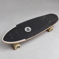 Slide Cruiser / Skateboard  71 cm  neuwertig