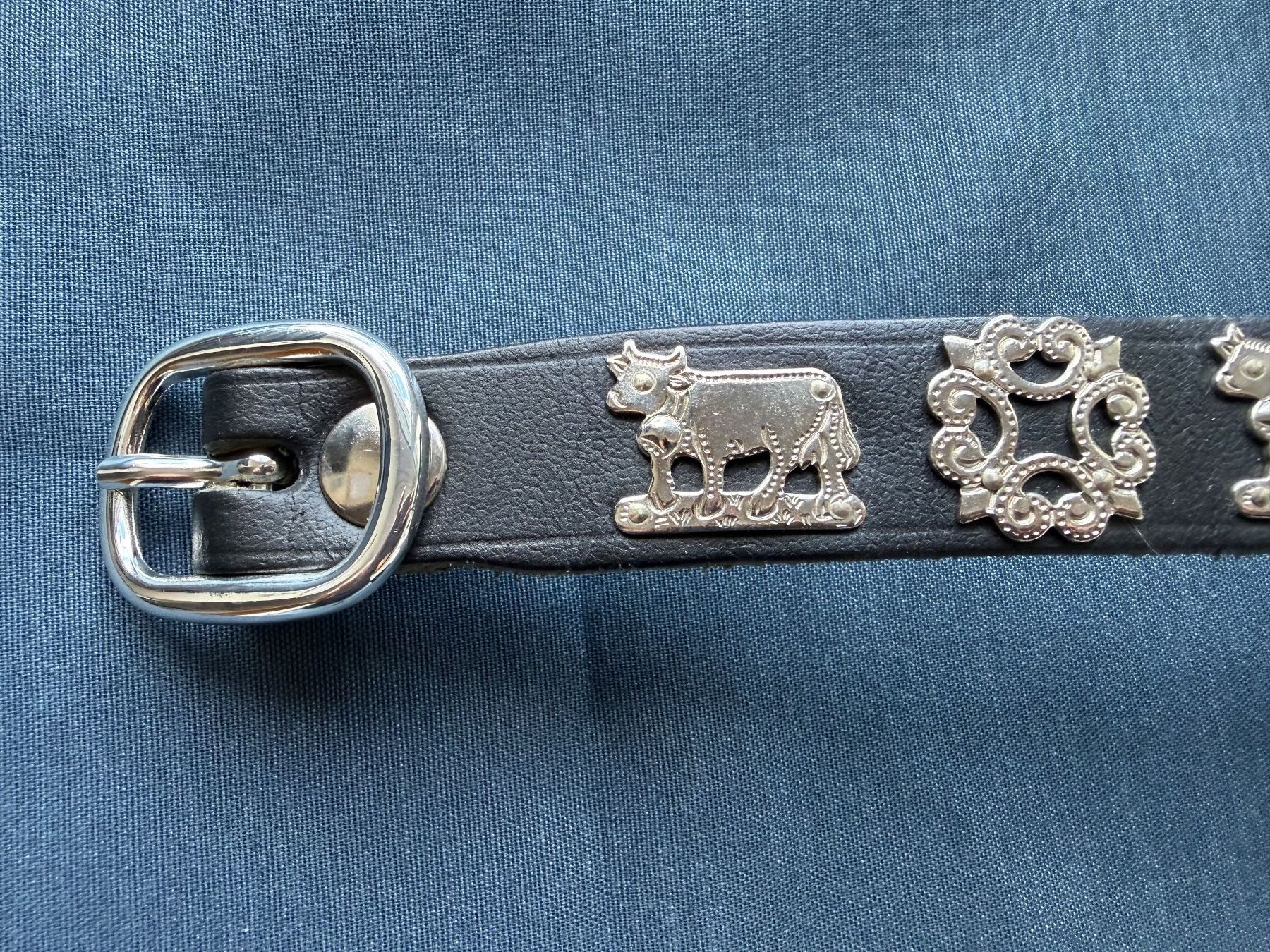 Dekobänder: Appenzeller Hundehalsband, Leder – Gebraucht aus Altstätten SG von mhu_k9gj 4