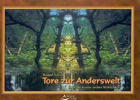 Libri: Tore zur Anderswelt – Usato da Amsoldingen venduto da Elfenlieb