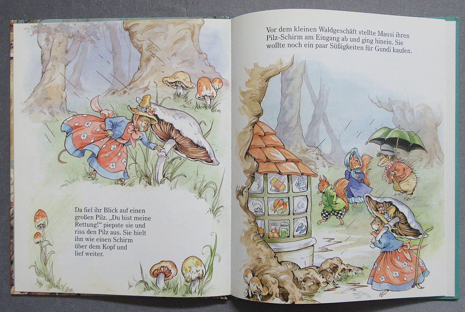 Libri: Wichtelwaldgeschichten - Sturm überm Wichtelwald – Usato da Auenstein venduto da Padabimbim 3