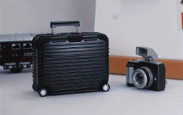 Schutzhülle Reisekoffer für AirPods Pro schwarz