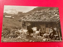 ?? Kastleren ?? // Wallis 1921