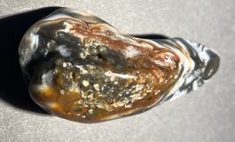 Sammelstein Achatsorte Unbekannt naturbelassen ca. 5cm