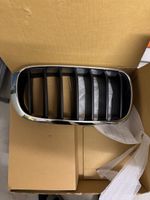 Kühlergrill bmw x5 f15